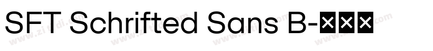SFT Schrifted Sans B字体转换